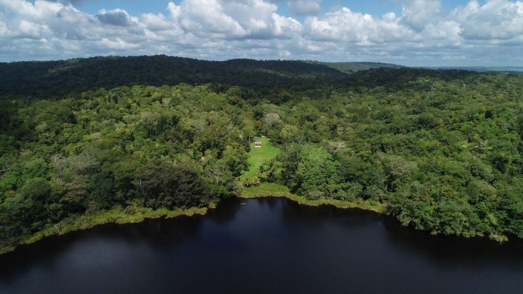 La preservación de los bosques en Guatemala